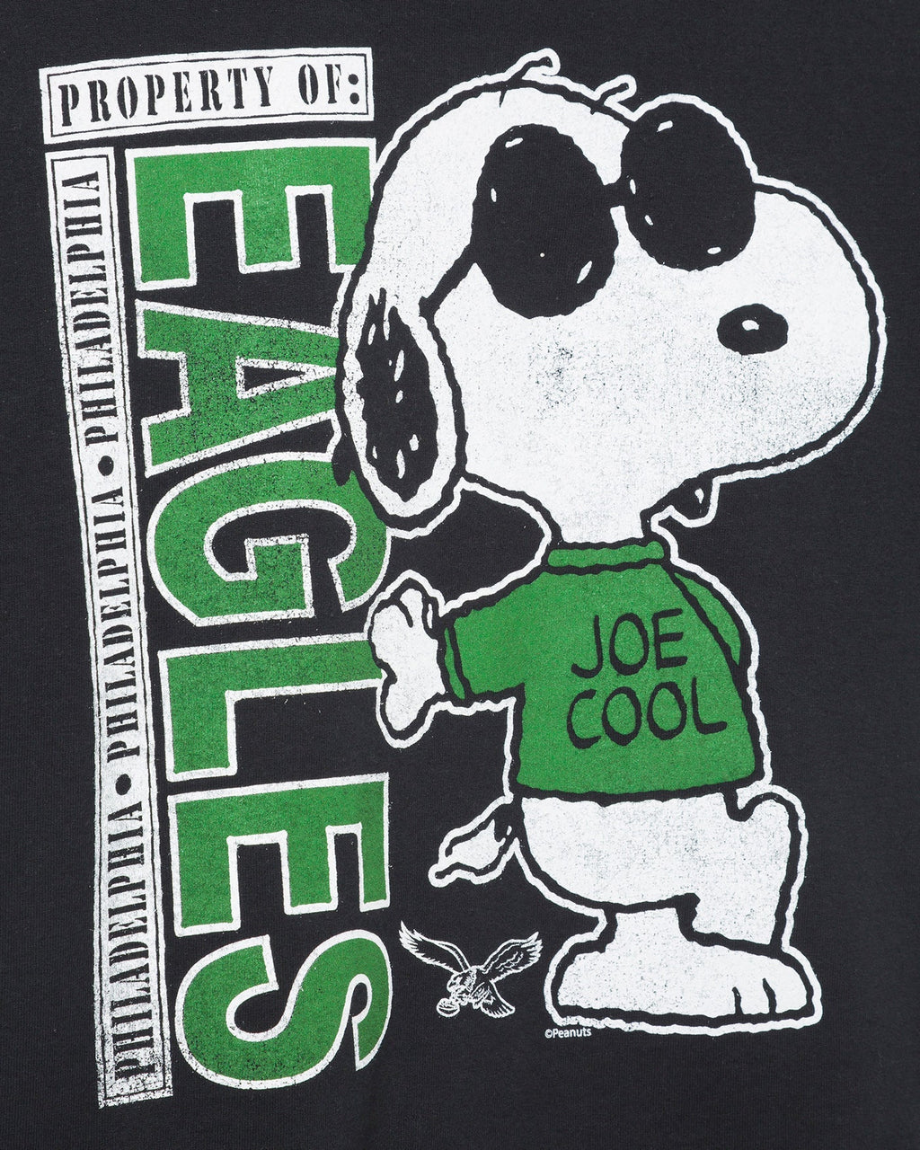 Women's Philadelphia Eagles Joe Cool Flea Market Crop Tee product image 3