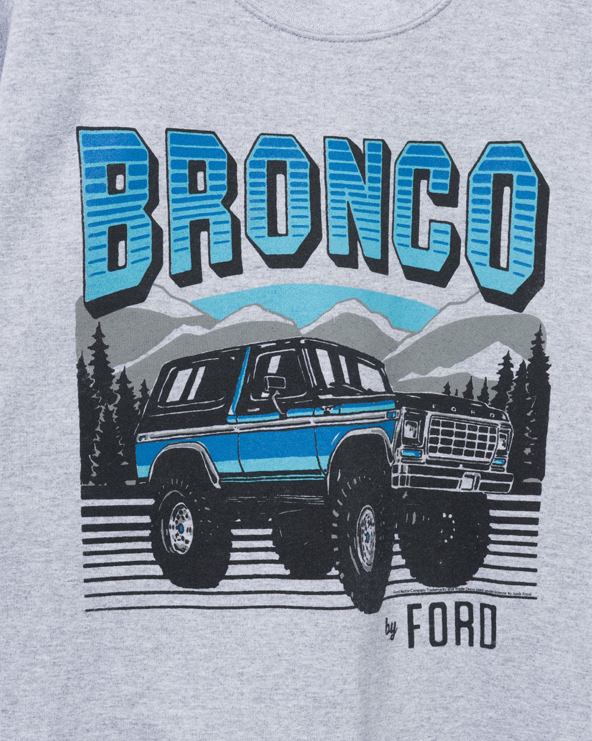 Bronco By Ford Flea Market Fleece product image 5