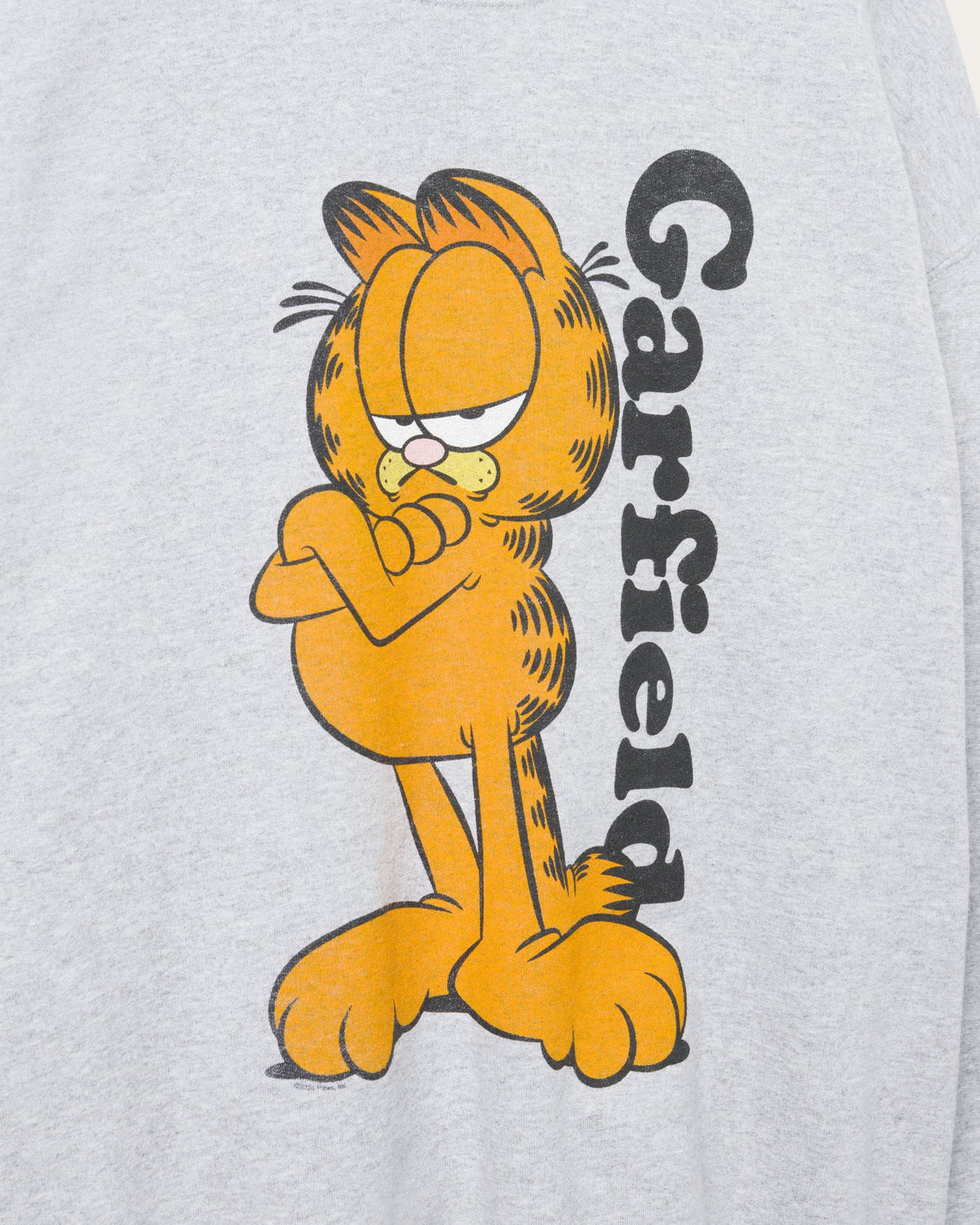 Garfield Flea Market Fleece product image 5