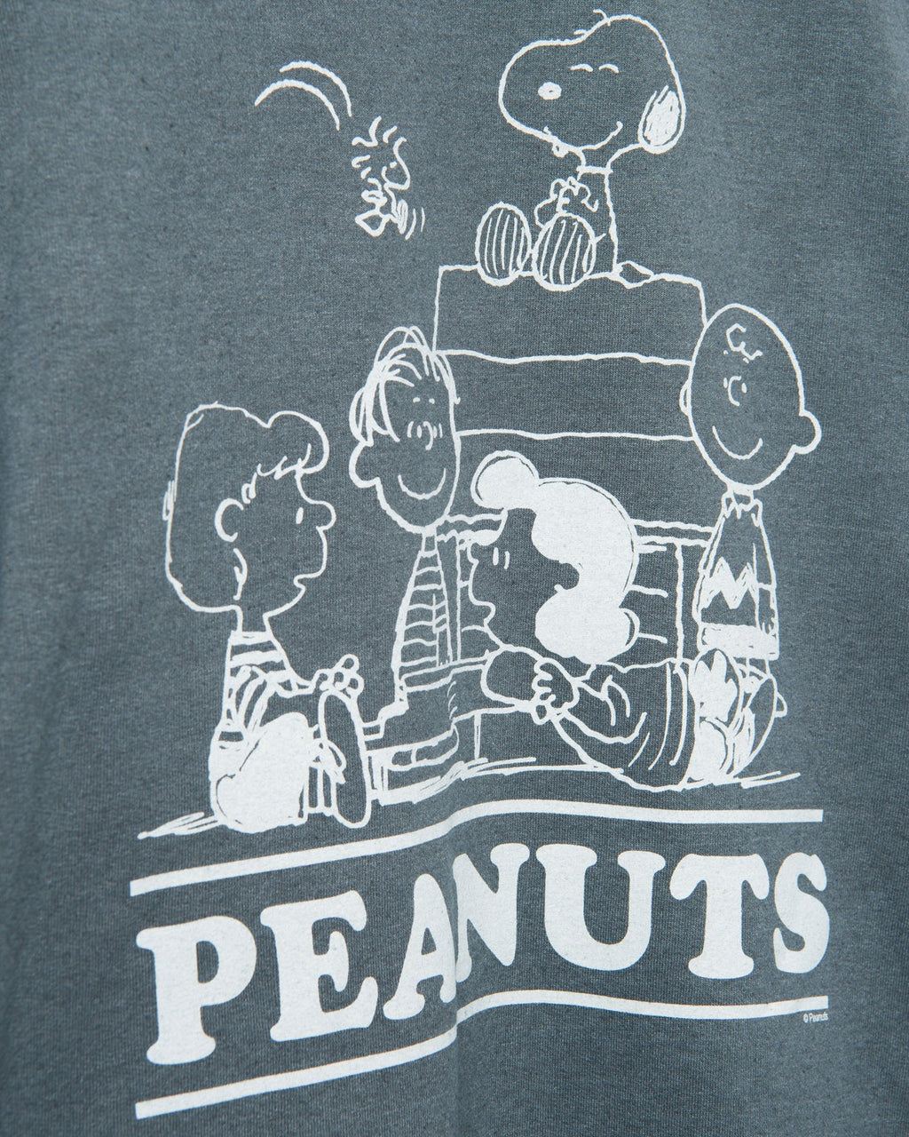 Peanuts The Gang Flea Market Fleece product image 5