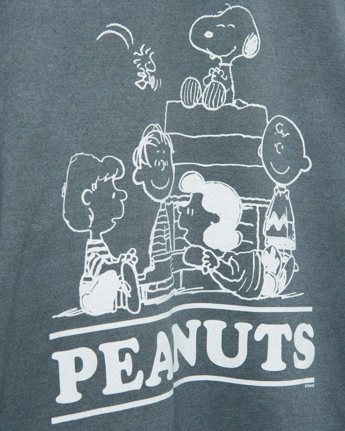 Peanuts The Gang Flea Market Fleece product image 5